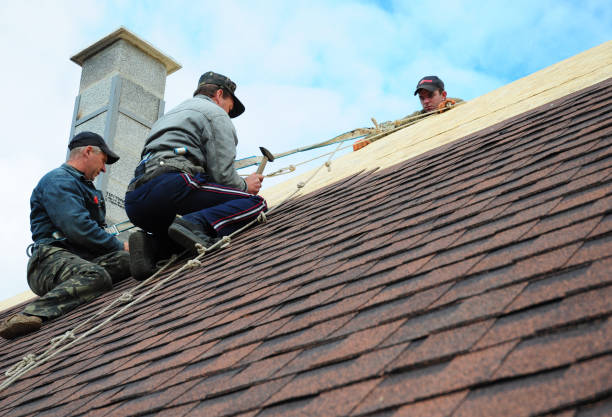 Tile Roofing Contractor in Pocahontas, IA