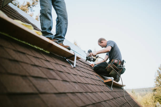 Best Flat Roof Repair Services  in Pocahontas, IA
